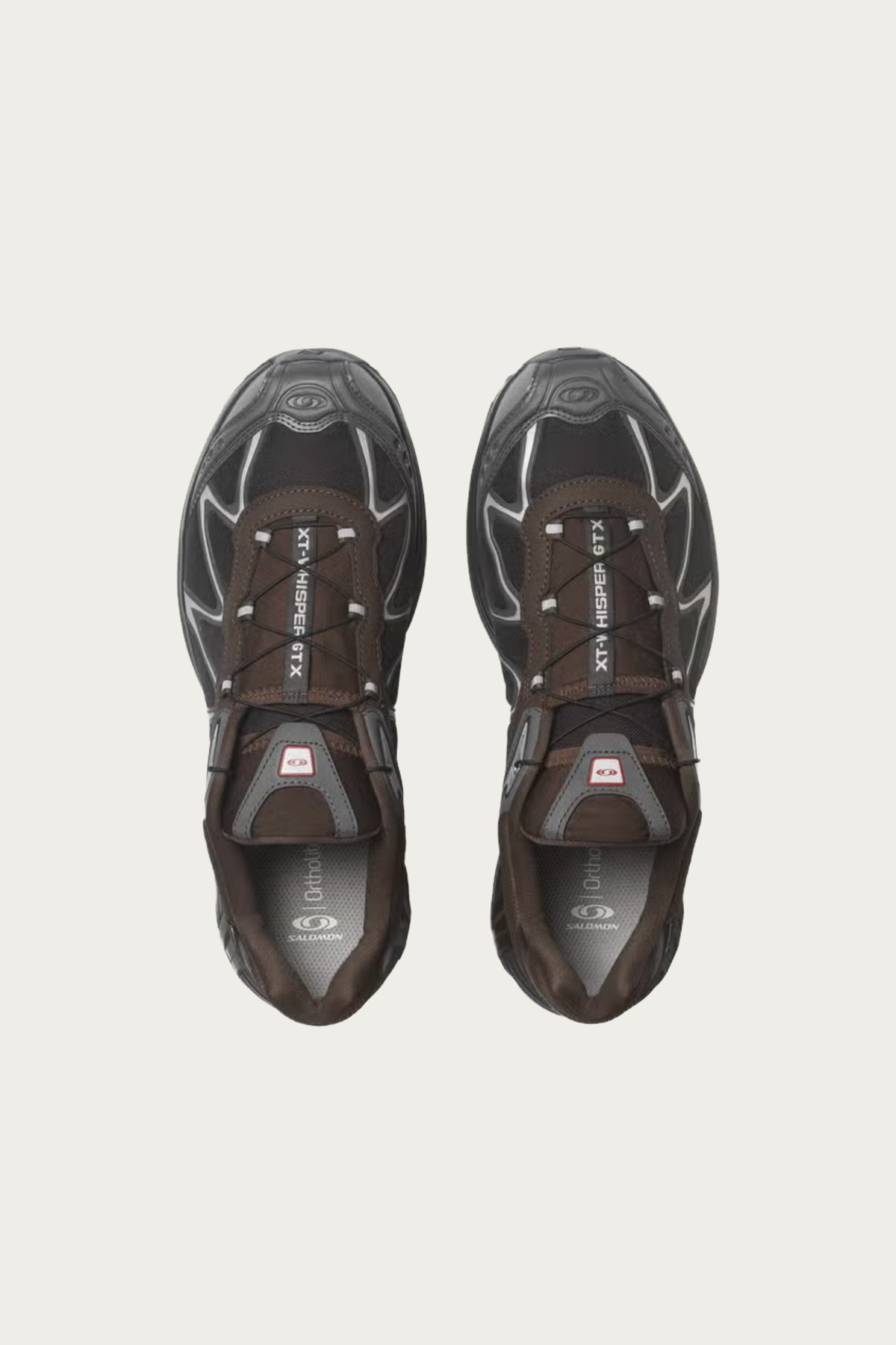 Salomon Advanced - XT-Whisper GTX - Delicioso / Asphalt / Castlerock - Canoe Club
