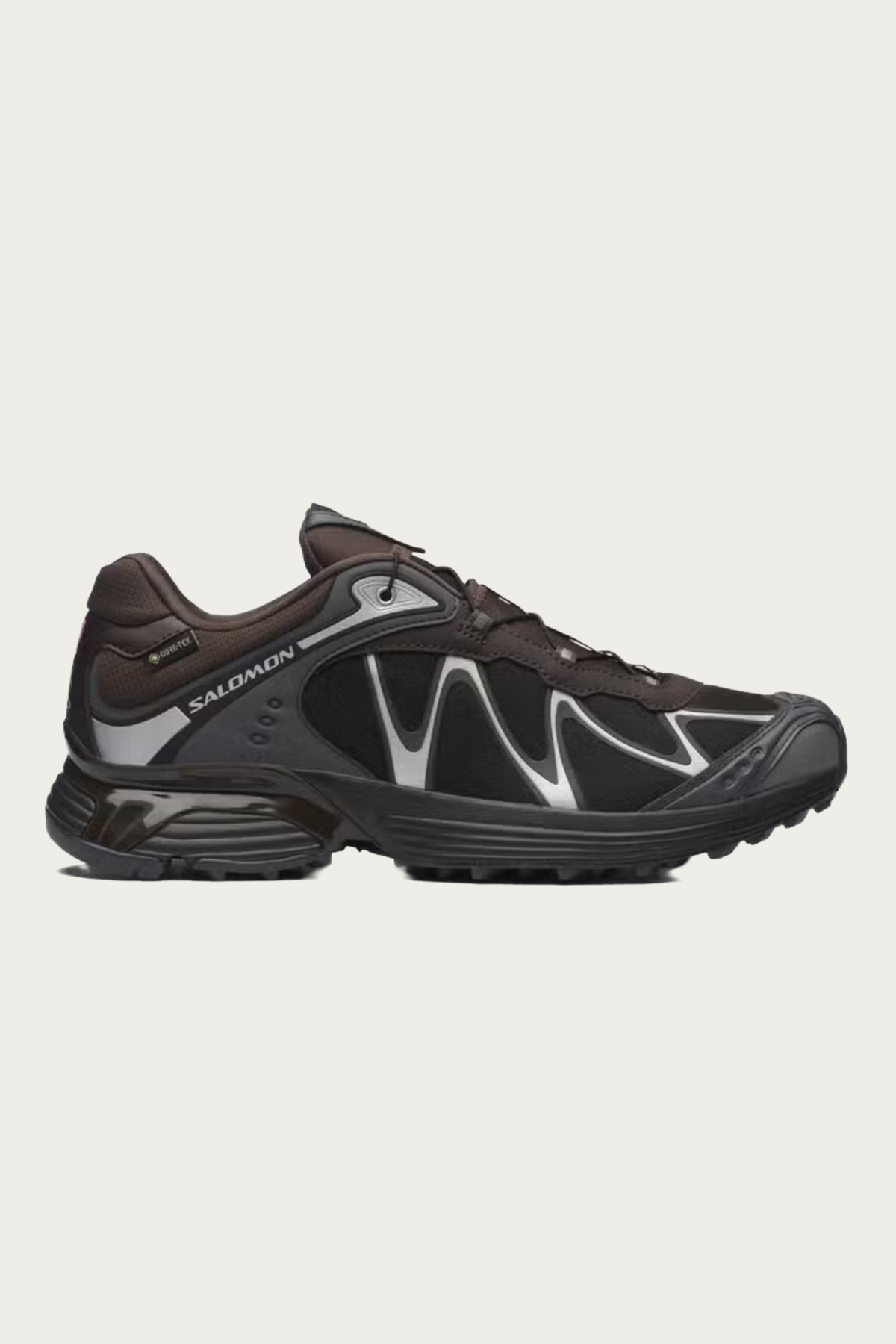 Salomon Advanced - XT-Whisper GTX - Delicioso / Asphalt / Castlerock - Canoe Club