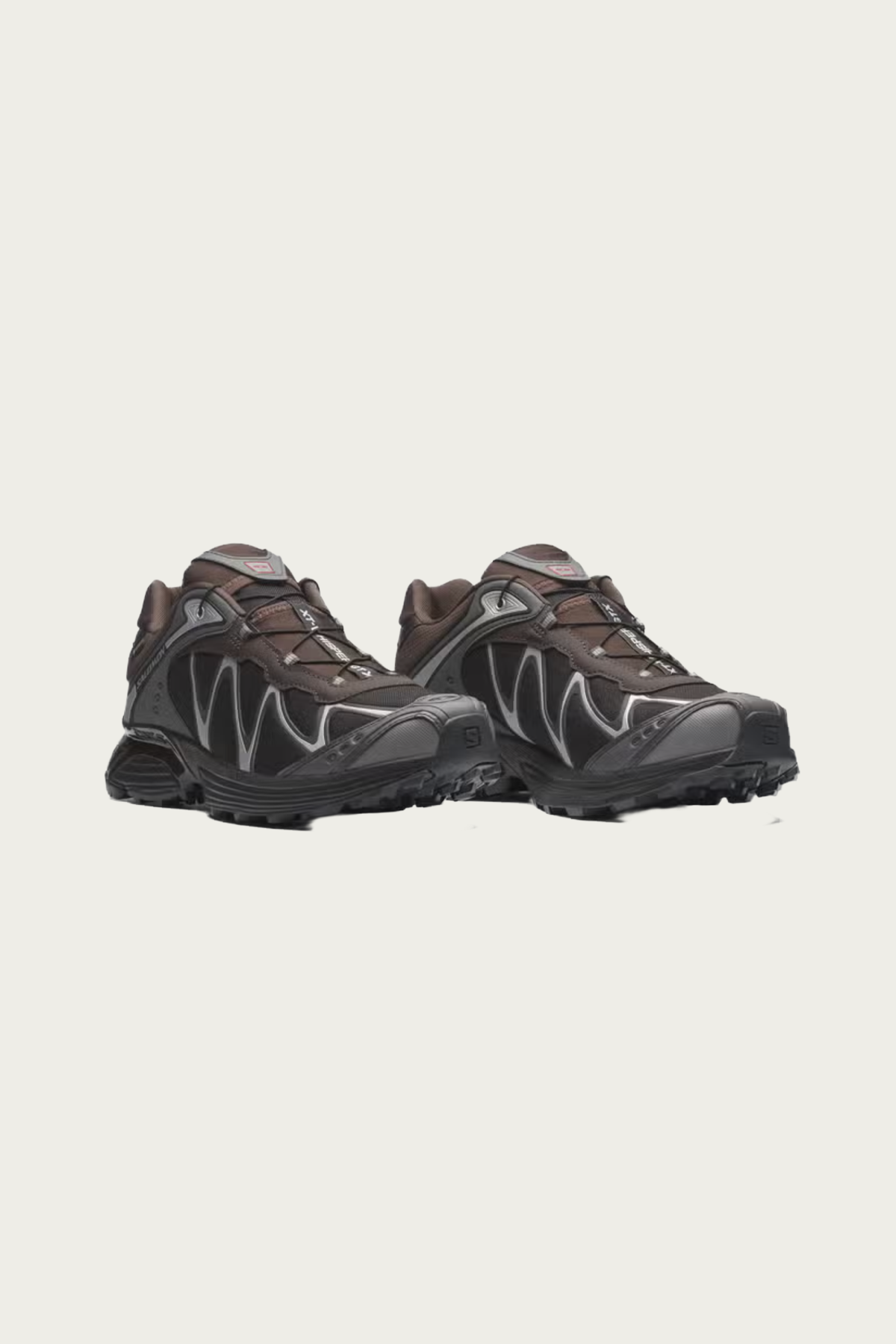 Salomon Advanced - XT-Whisper GTX - Delicioso / Asphalt / Castlerock - Canoe Club