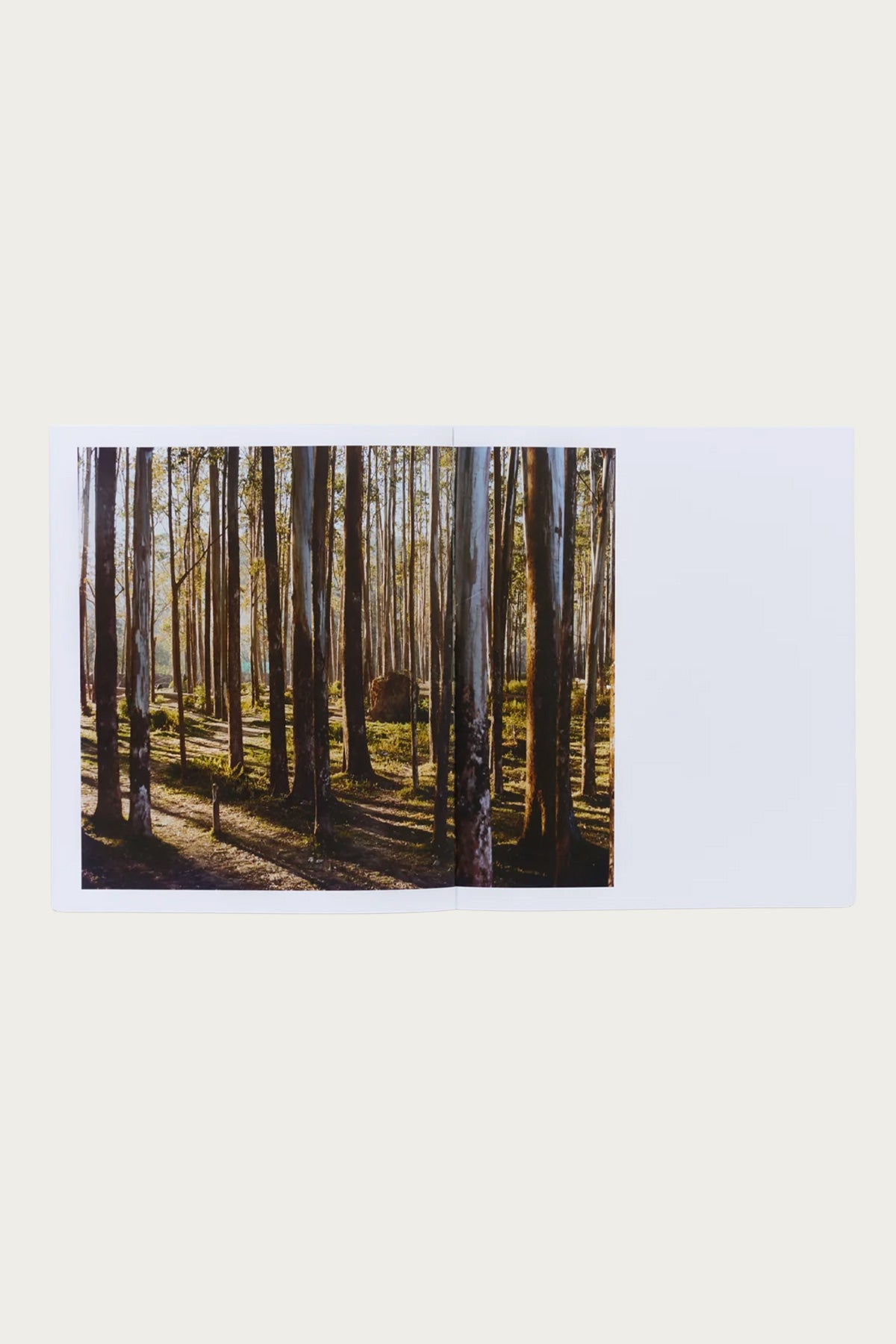 Seya - Achcha Photo Book - Canoe Club